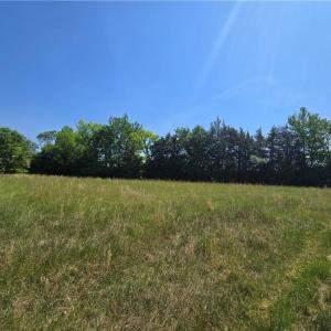 Photo #5 of 5022 Mt Hermon Rock Creek, Snow Camp, NC 19.7 acres