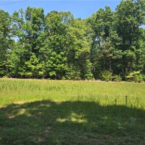 Photo #10 of 5022 Mt Hermon Rock Creek, Snow Camp, NC 19.7 acres