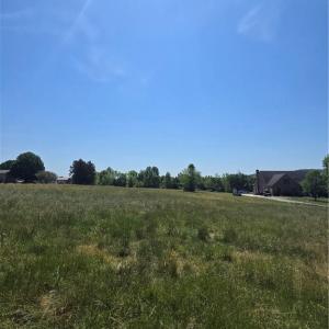 Photo #15 of 5022 Mt Hermon Rock Creek, Snow Camp, NC 19.7 acres