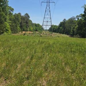 Photo #21 of 5022 Mt Hermon Rock Creek, Snow Camp, NC 19.7 acres