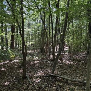 Photo #13 of Woodwinds, Pelham, NC 3.2 acres