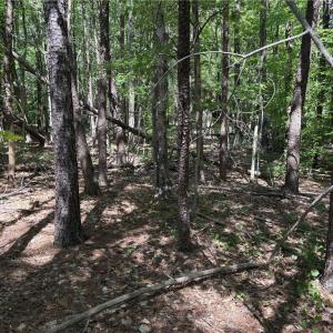 Photo #17 of Woodwinds, Pelham, NC 3.2 acres