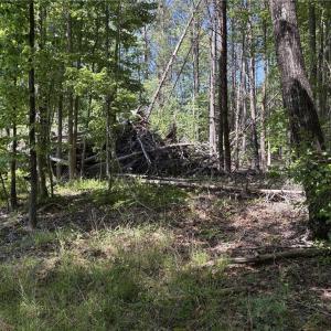 Photo #16 of Woodwinds, Pelham, NC 3.2 acres