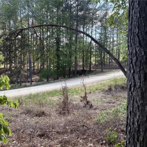 Photo #20 of Woodwinds, Pelham, NC 3.2 acres