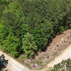 Photo #10 of Woodwinds, Pelham, NC 3.2 acres