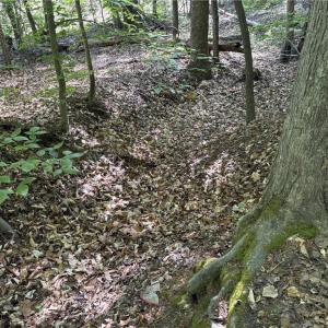 Photo #18 of Woodwinds, Pelham, NC 3.2 acres