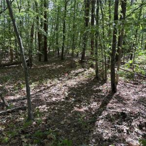 Photo #15 of Woodwinds, Pelham, NC 3.2 acres