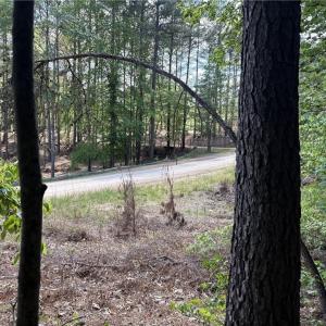 Photo #19 of Woodwinds, Pelham, NC 3.2 acres