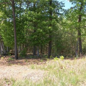 Photo #2 of Floyd, Eden, NC 33.3 acres