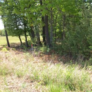 Photo #1 of Floyd, Eden, NC 33.3 acres