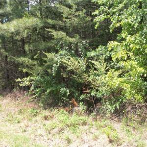 Photo #5 of Floyd, Eden, NC 33.3 acres