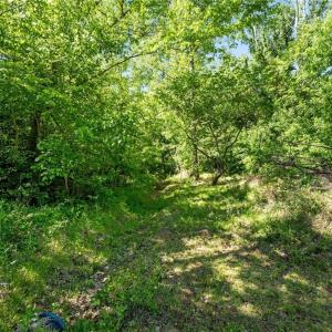 Photo #4 of 5706 TURNER SMITH, Browns Summit, NC 6.4 acres