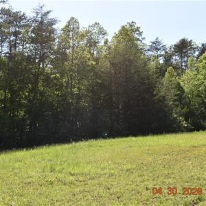 Photo #10 of 843 Renn, Stokesdale, NC 31.9 acres