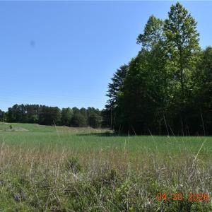Photo #4 of 843 Renn, Stokesdale, NC 31.9 acres