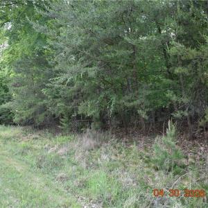 Photo #7 of 843 Renn, Stokesdale, NC 31.9 acres