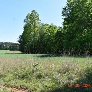 Photo #3 of 843 Renn, Stokesdale, NC 31.9 acres