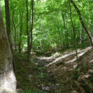 Photo #26 of Hilltop View, Germanton, NC 75.0 acres