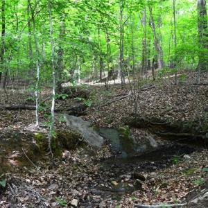 Photo #22 of Hilltop View, Germanton, NC 75.0 acres