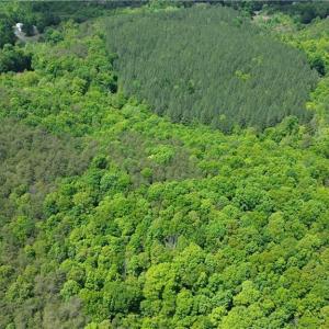 Photo #36 of Hilltop View, Germanton, NC 75.0 acres