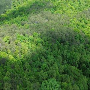 Photo #38 of Hilltop View, Germanton, NC 75.0 acres