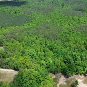 Photo #33 of Hilltop View, Germanton, NC 75.0 acres