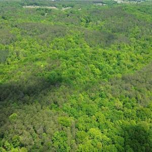 Photo #41 of Hilltop View, Germanton, NC 75.0 acres