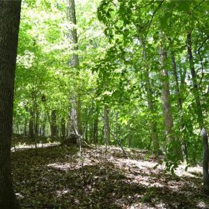 Photo #18 of Hilltop View, Germanton, NC 75.0 acres