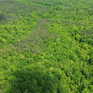 Photo #40 of Hilltop View, Germanton, NC 75.0 acres