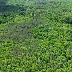 Photo #35 of Hilltop View, Germanton, NC 75.0 acres