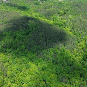 Photo #39 of Hilltop View, Germanton, NC 75.0 acres