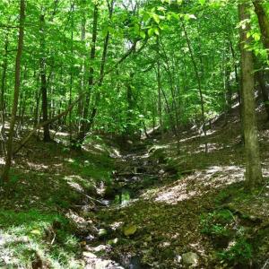Photo #29 of Hilltop View, Germanton, NC 75.0 acres