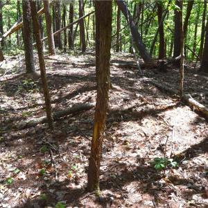 Photo #8 of Hilltop View, Germanton, NC 75.0 acres