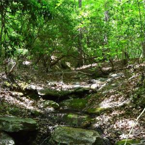 Photo #25 of Hilltop View, Germanton, NC 75.0 acres