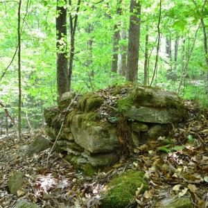 Photo #21 of Hilltop View, Germanton, NC 75.0 acres