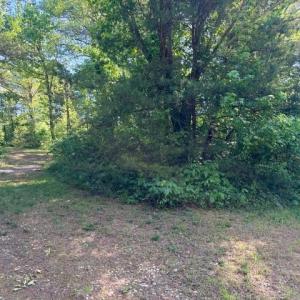 Photo #3 of 300 Jerome, Clemmons, NC 1.4 acres
