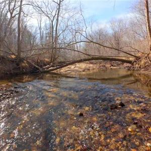 Photo #6 of NC Highway 66, Westfield, NC 8.7 acres