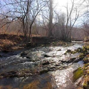 Photo #7 of NC Highway 66, Westfield, NC 8.7 acres