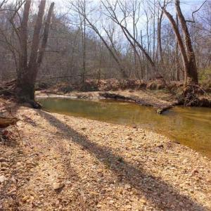 Photo #5 of NC Highway 66, Westfield, NC 8.7 acres