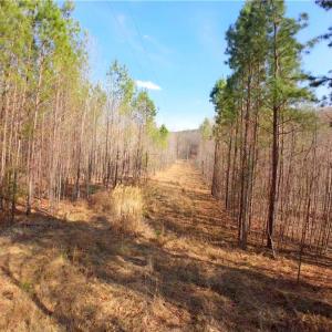 Photo #9 of NC Highway 66, Westfield, NC 8.7 acres