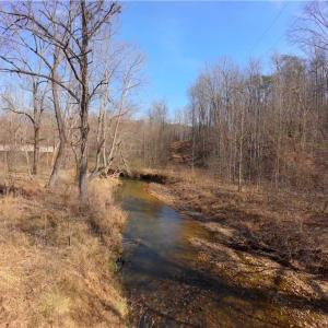 Photo #10 of NC Highway 66, Westfield, NC 8.7 acres