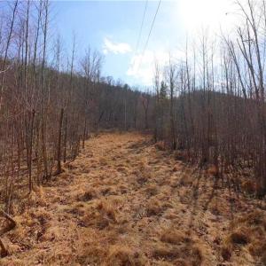 Photo #8 of NC Highway 66, Westfield, NC 8.7 acres