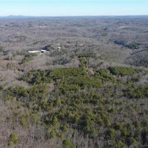 Photo #42 of 1344-1540 NC Highway 89, Danbury, NC 219.0 acres