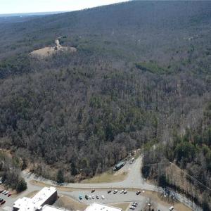 Photo #46 of 1344-1540 NC Highway 89, Danbury, NC 219.0 acres