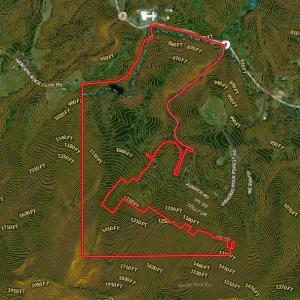 Photo #47 of 1344-1540 NC Highway 89, Danbury, NC 219.0 acres