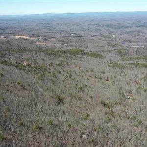 Photo #43 of 1344-1540 NC Highway 89, Danbury, NC 219.0 acres