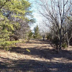 Photo #9 of 1344-1540 NC Highway 89, Danbury, NC 219.0 acres