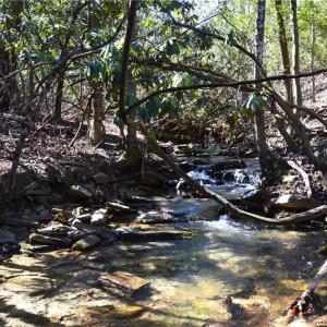 Photo #34 of 1344-1540 NC Highway 89, Danbury, NC 219.0 acres
