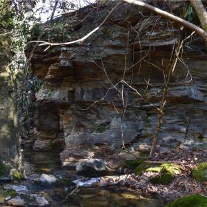 Photo #14 of 1344-1540 NC Highway 89, Danbury, NC 219.0 acres