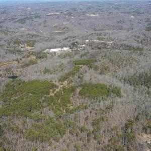 Photo #41 of 1344-1540 NC Highway 89, Danbury, NC 219.0 acres
