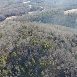 Photo #40 of 1344-1540 NC Highway 89, Danbury, NC 219.0 acres